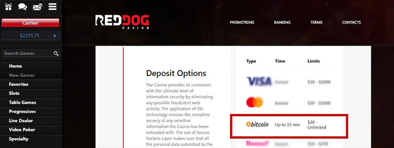 red dog.jpg